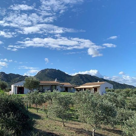Macciuneddu Country Retreat Golfo Aranci Eksteriør bilde