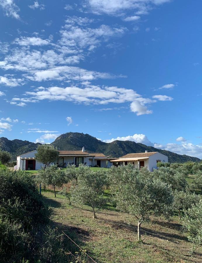 Macciuneddu Country Retreat Golfo Aranci Eksteriør bilde
